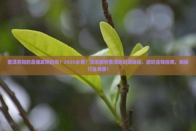 普洱茶指的是谁发明的茶