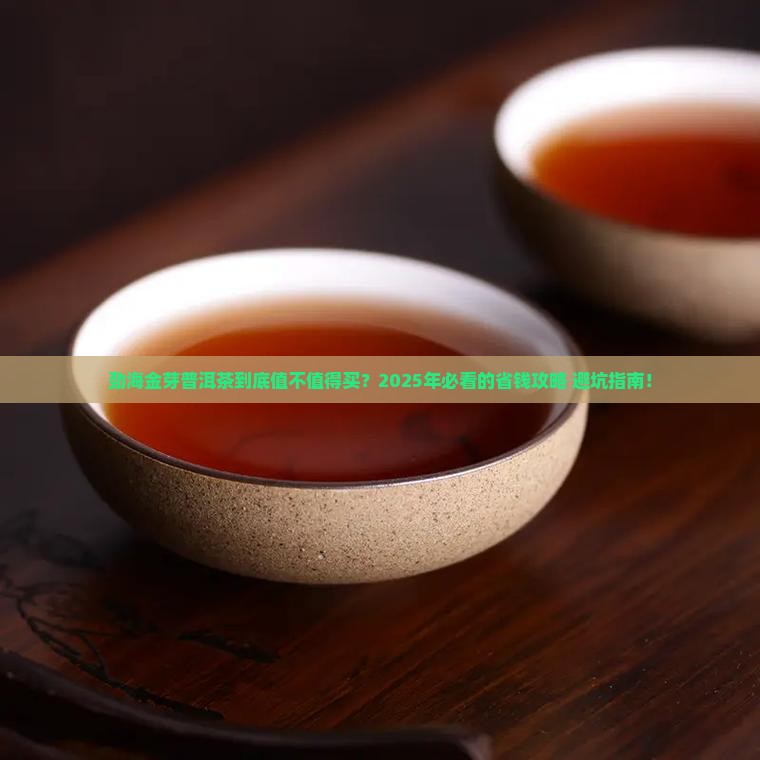 劲海金芽普洱茶价格