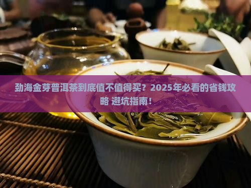 劲海金芽普洱茶价格