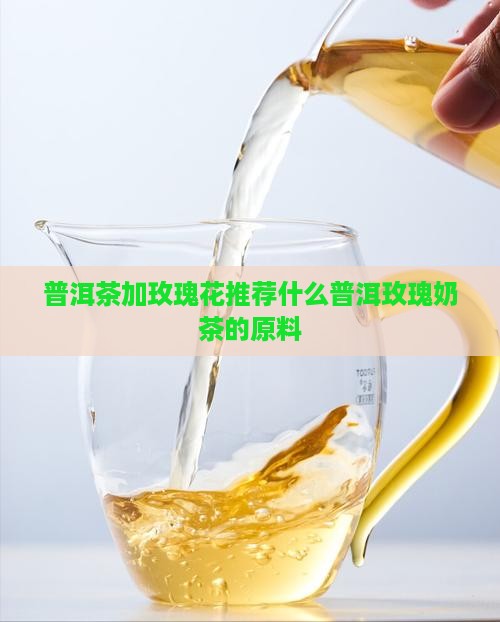 普洱茶加玫瑰花推荐什么茶