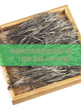 中国茶艺流派分为