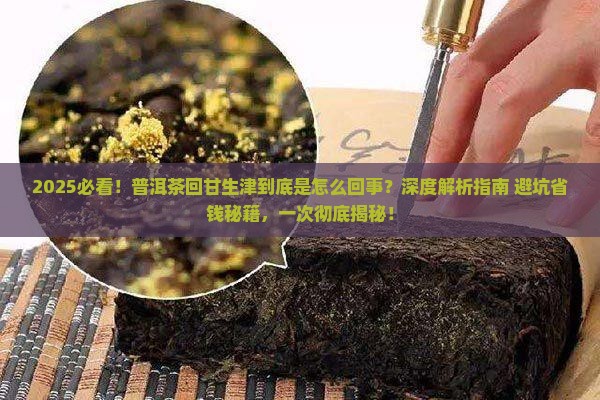 普洱茶的回甘生津是什么