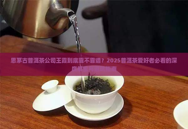 思茅古普洱茶公司王霞