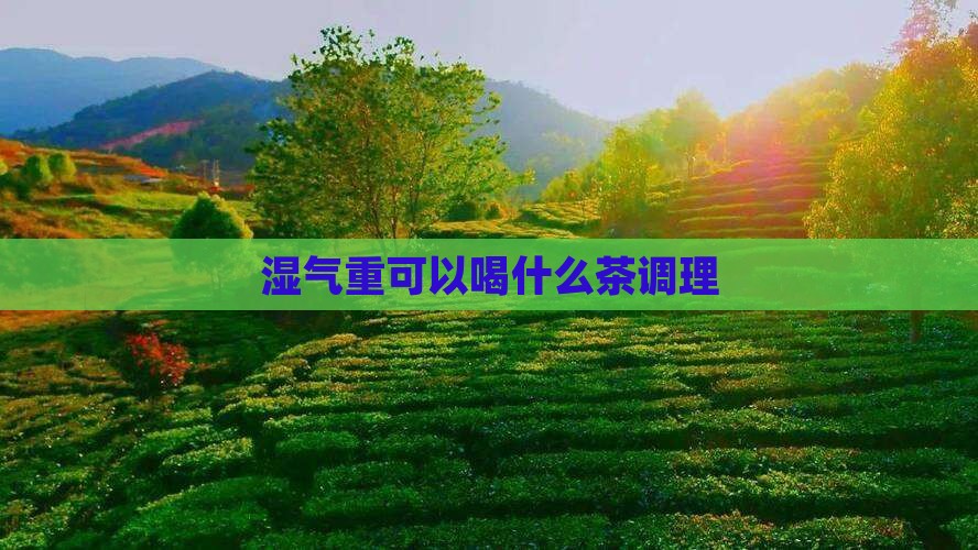湿气重可以喝什么茶调理