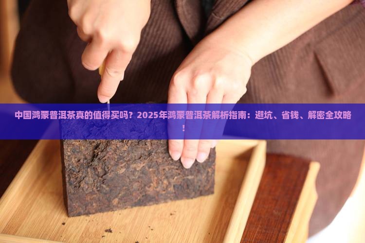中国鸿蒙普洱茶