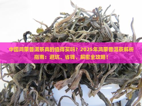 中国鸿蒙普洱茶