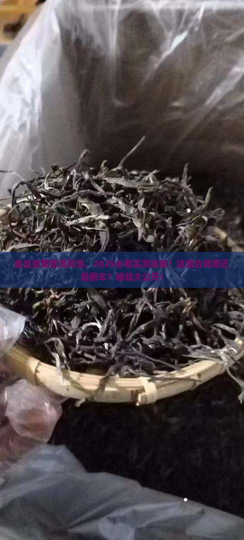 金丝皇菊与普洱茶一起泡