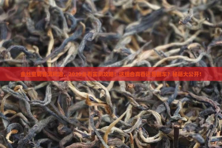 金丝皇菊与普洱茶一起泡