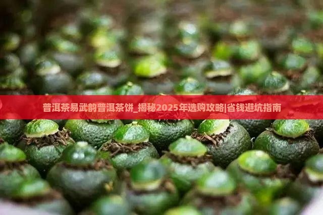 普洱茶易武韵普洱茶饼