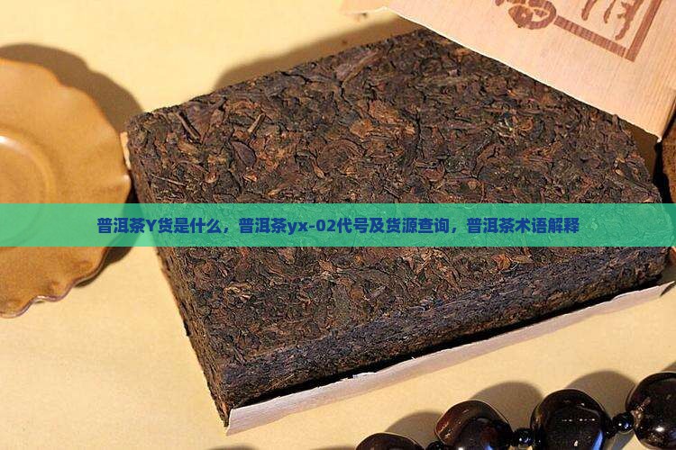 普洱茶Y货是什么