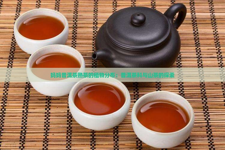 妈妈熟茶普洱茶