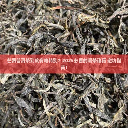 芒费普洱茶特色