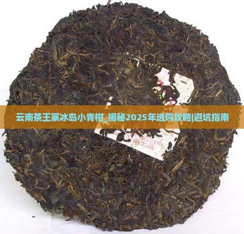 云南茶王寨冰岛小青柑