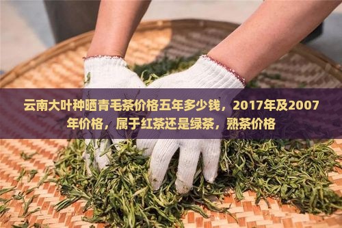 云南大叶种晒青毛茶价格五年