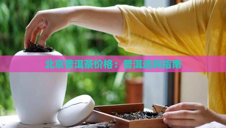 北京银座普洱茶价格