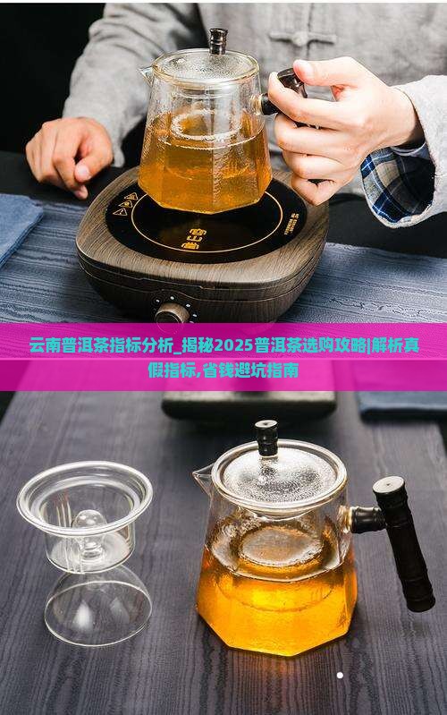 云南普洱茶指标分析