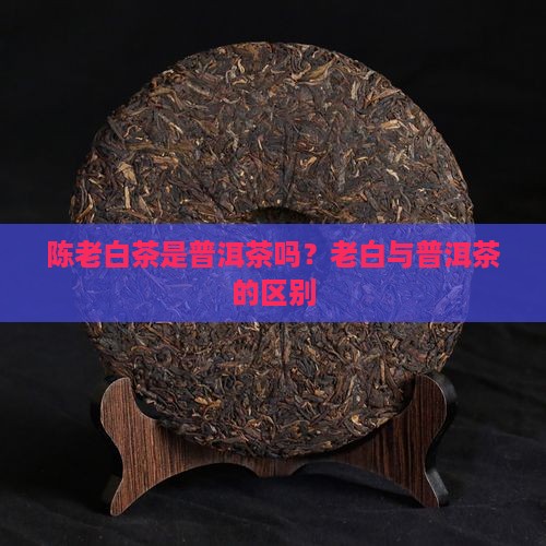 陈老白茶叶是普洱茶吗