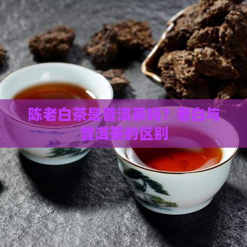 陈老白茶叶是普洱茶吗