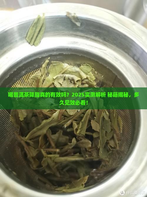 喝普洱茶降脂多久见效