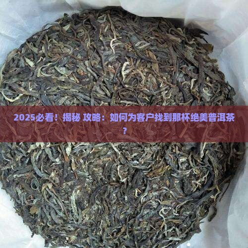 为客户找到普洱茶