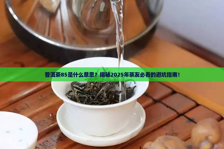 普洱茶85表示什么意思