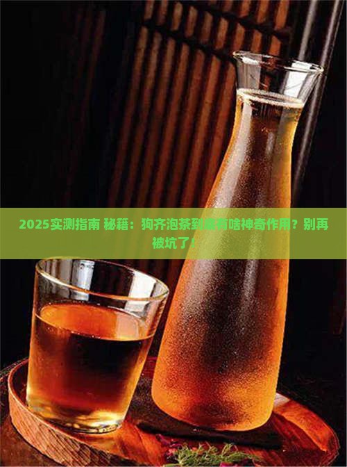 狗齐泡茶有什么作用