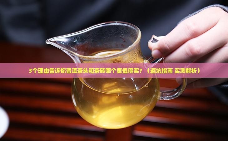 普洱茶头和茶砖哪个好