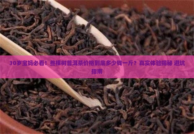 叁棵树普洱茶价格多少钱一斤