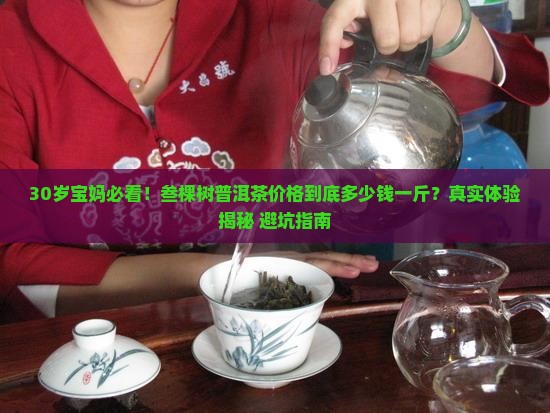 叁棵树普洱茶价格多少钱一斤