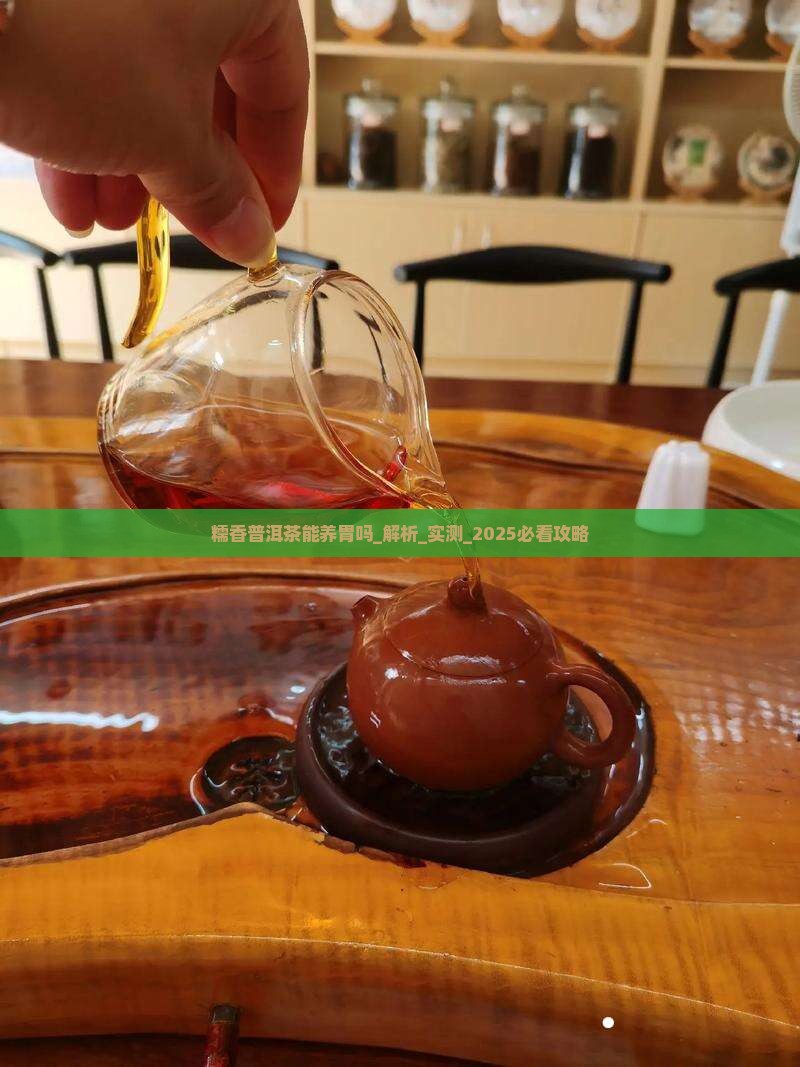 糯香普洱茶能养胃吗百度百科