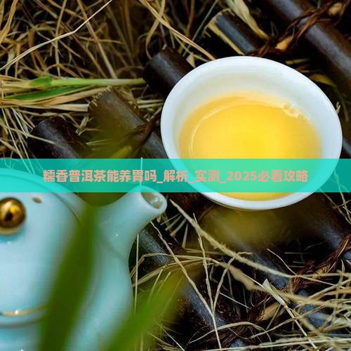 糯香普洱茶能养胃吗百度百科