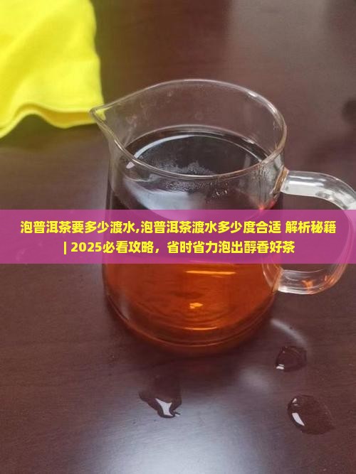 泡普洱茶要多少渡水