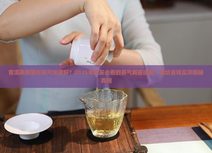 普洱茶哪里有茶气味道好
