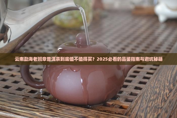 云南勐海老班章普洱茶介绍