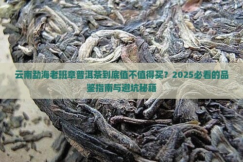 云南勐海老班章普洱茶介绍