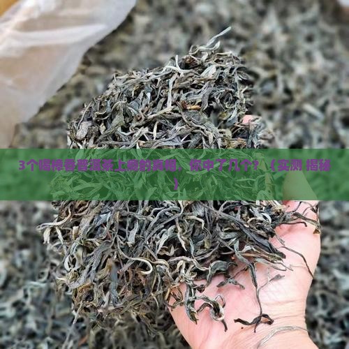 喝樟香普洱茶上瘾