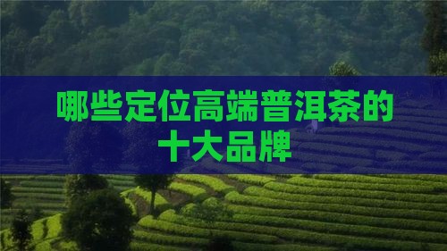 有哪些定位高端普洱茶
