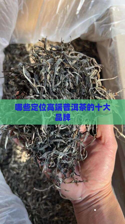 有哪些定位高端普洱茶