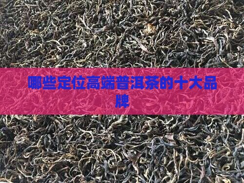 有哪些定位高端普洱茶