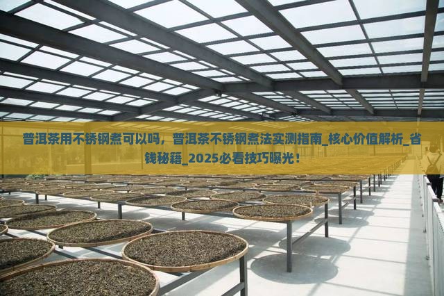 普洱茶用不锈钢煮可以吗