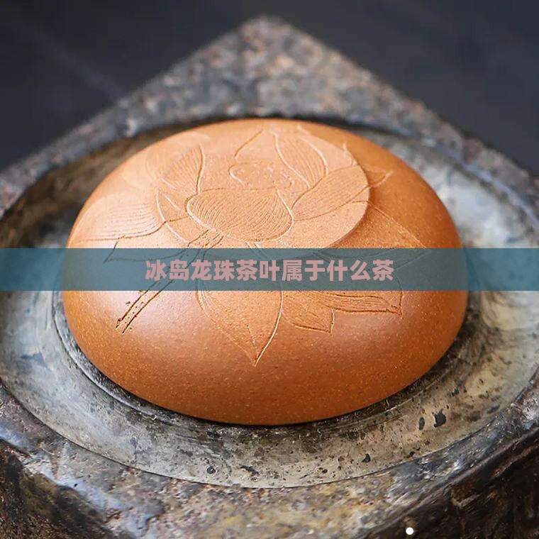 冰岛龙珠茶叶属于什么茶