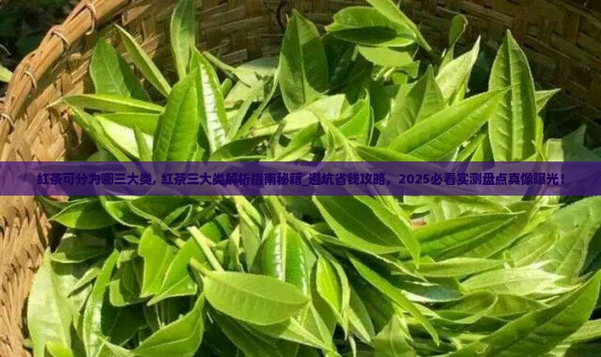 红茶可分为哪三大类