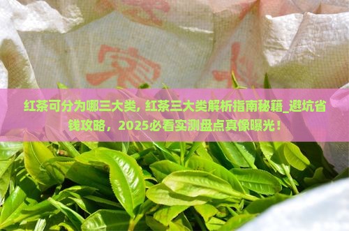 红茶可分为哪三大类