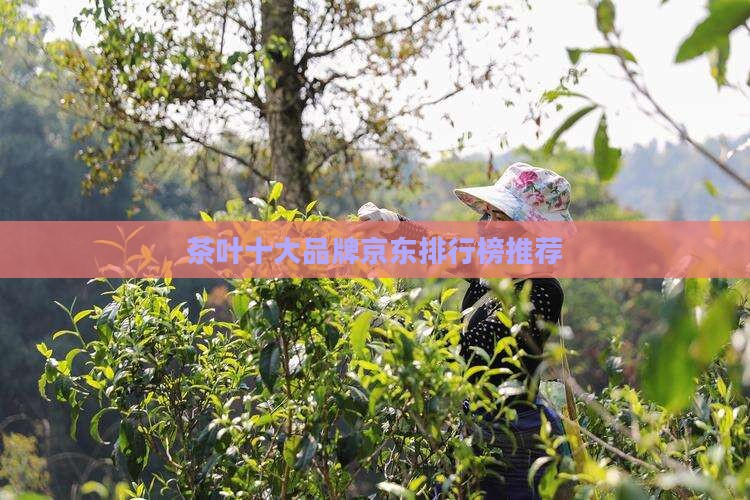 买茶叶买什么牌子好