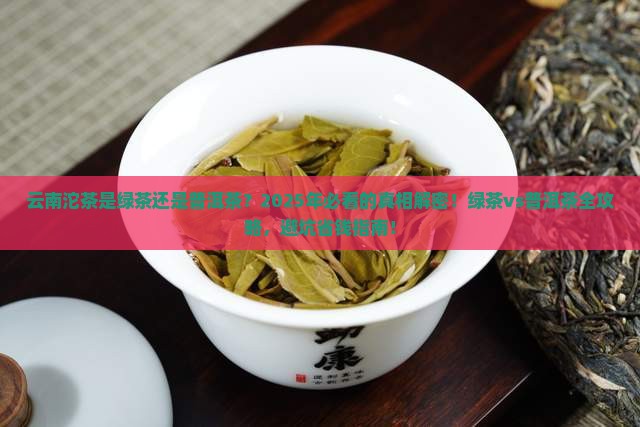 云南沱茶是绿茶还是普洱茶