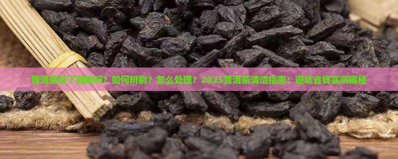 普洱茶脏了会怎样