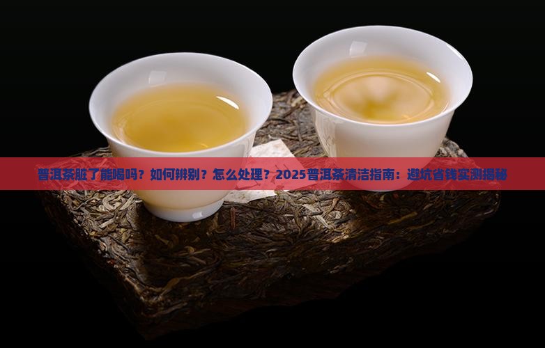普洱茶脏了会怎样