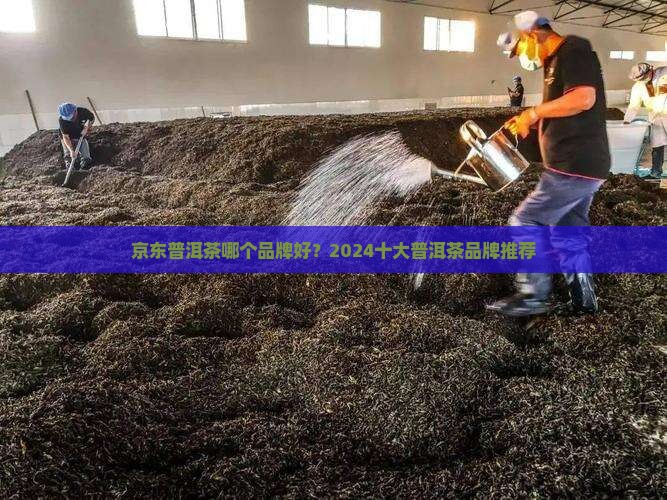 普洱茶喝哪个牌子