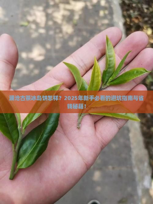 澜沧古茶冰岛饼怎样