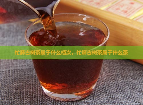 忙肺古树茶属于什么档次